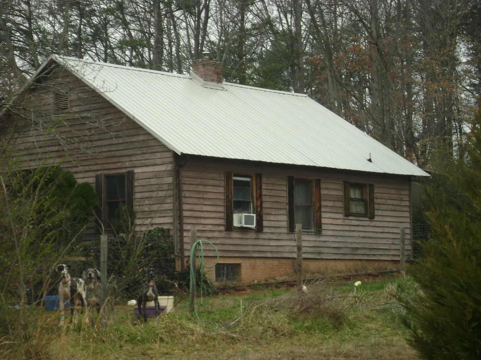 White metal roof on an old wood sided farmhouse, from a Asphalt Shingle Roof Repair job in Danville